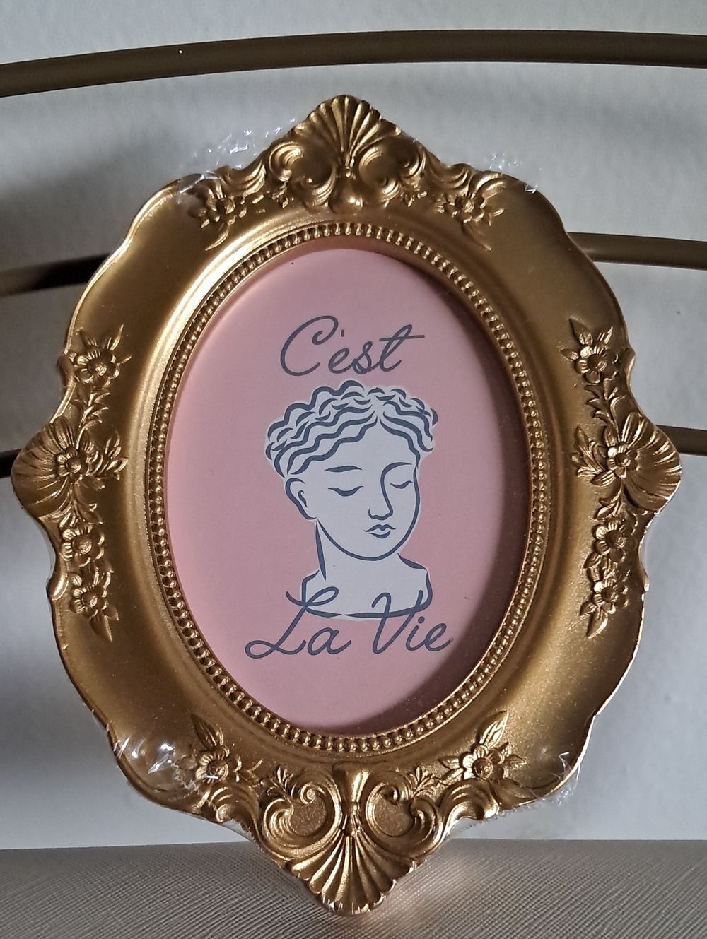Chateau Gold and Pink Ornate Oval Magnetic Picture Frame